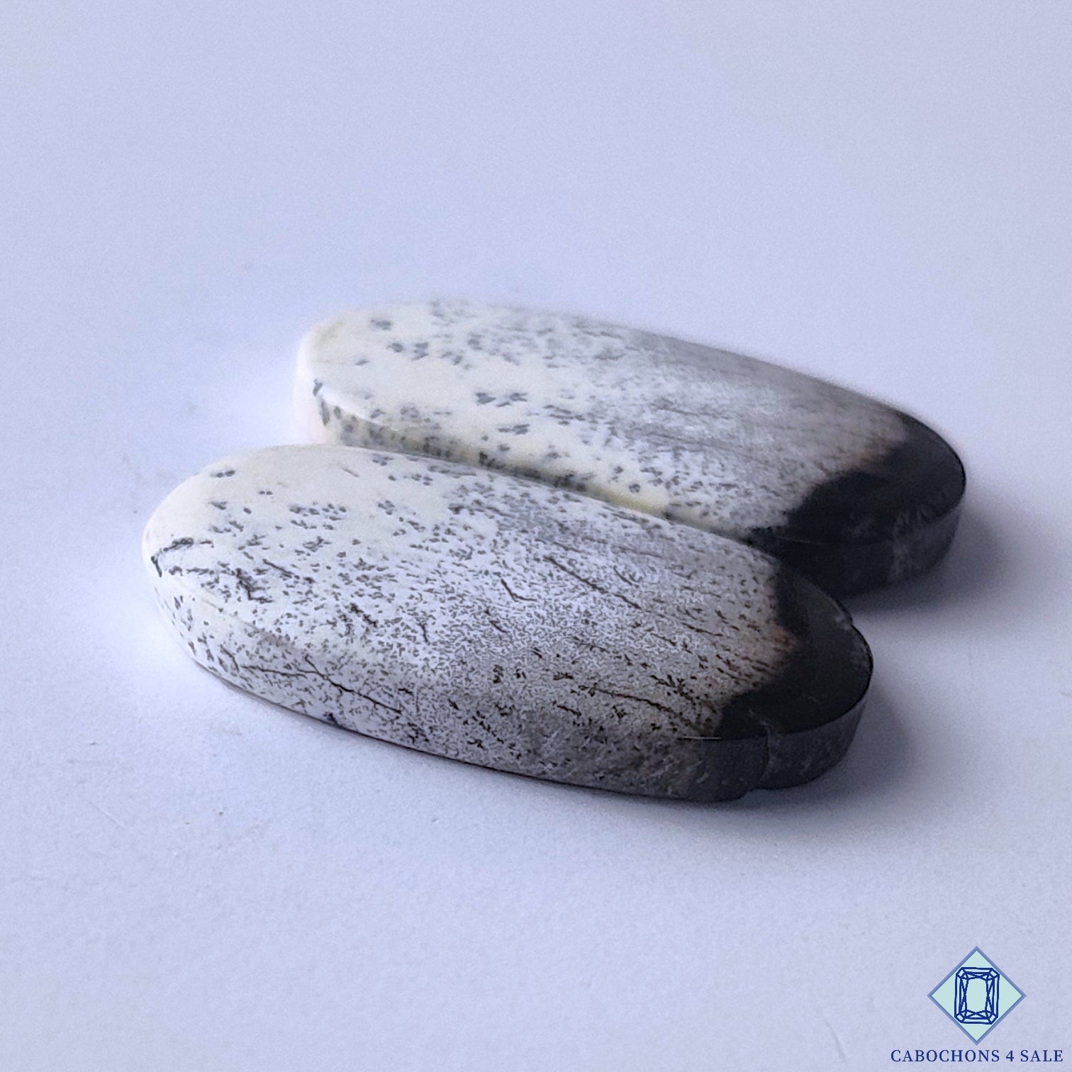 Dendritic Opal