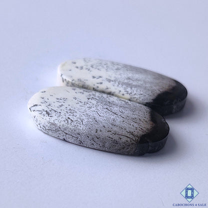 Dendritic Opal