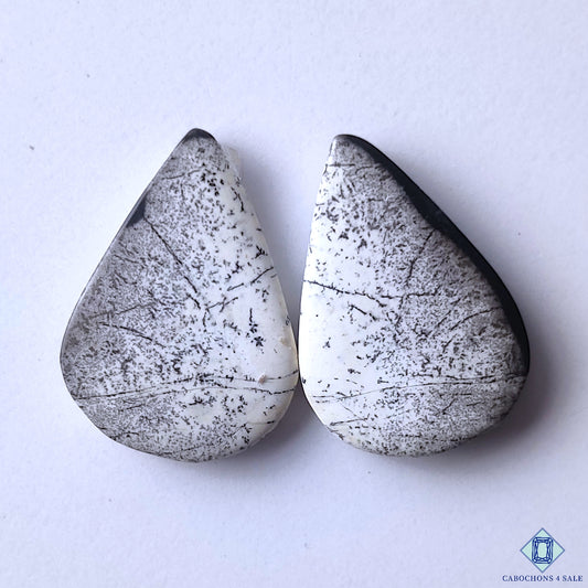 Dendritic Opal