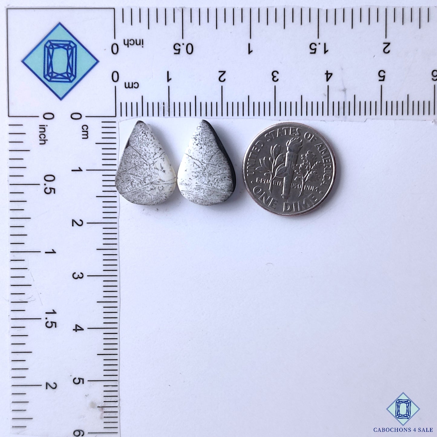 Dendritic Opal