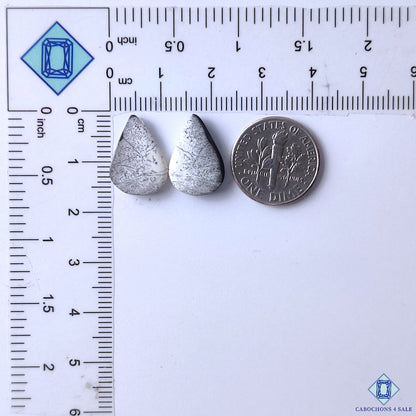 Dendritic Opal