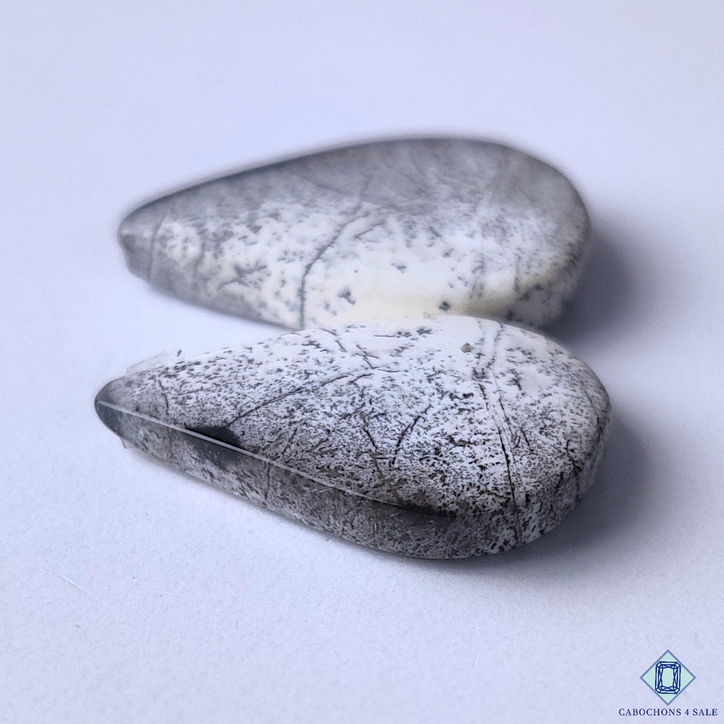 Dendritic Opal