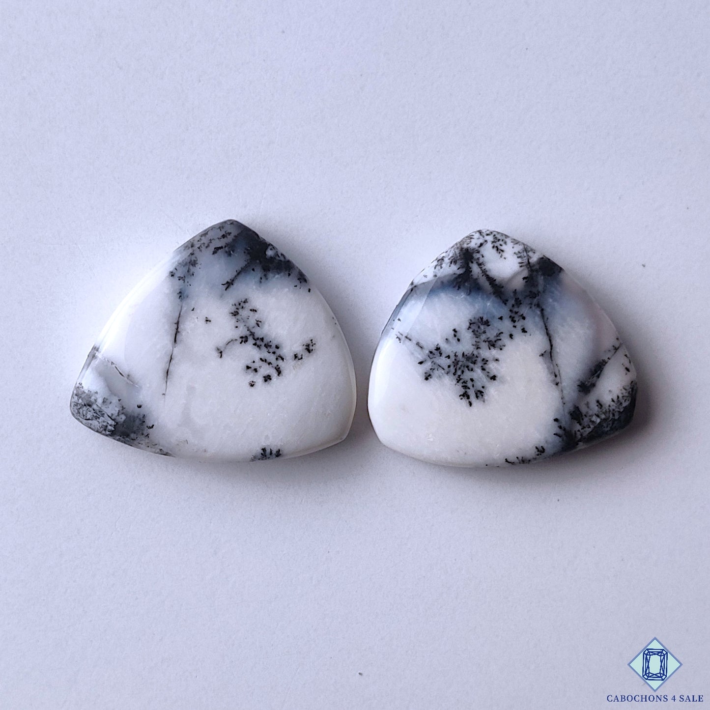 Dendritic Opal