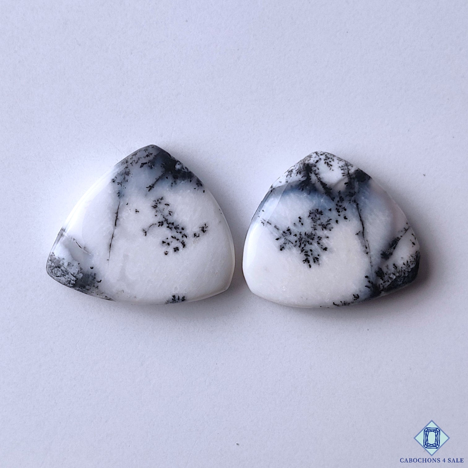 Dendritic Opal