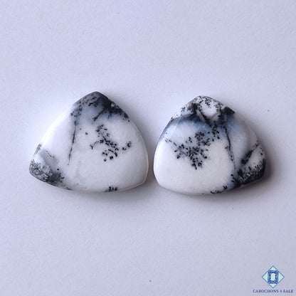 Dendritic Opal