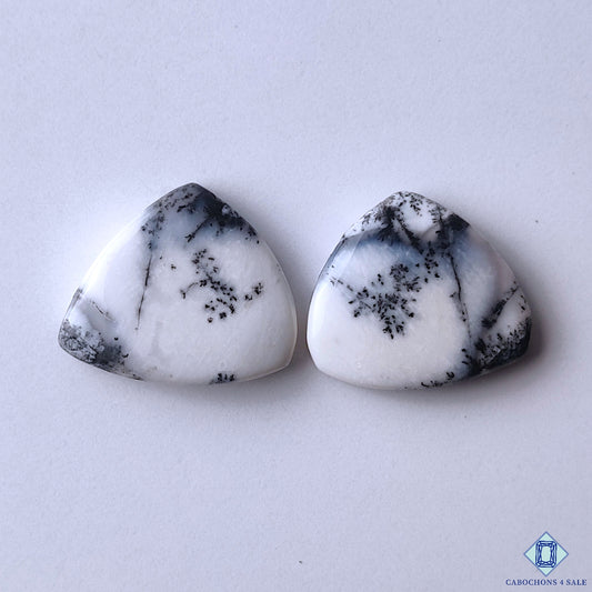 Dendritic Opal