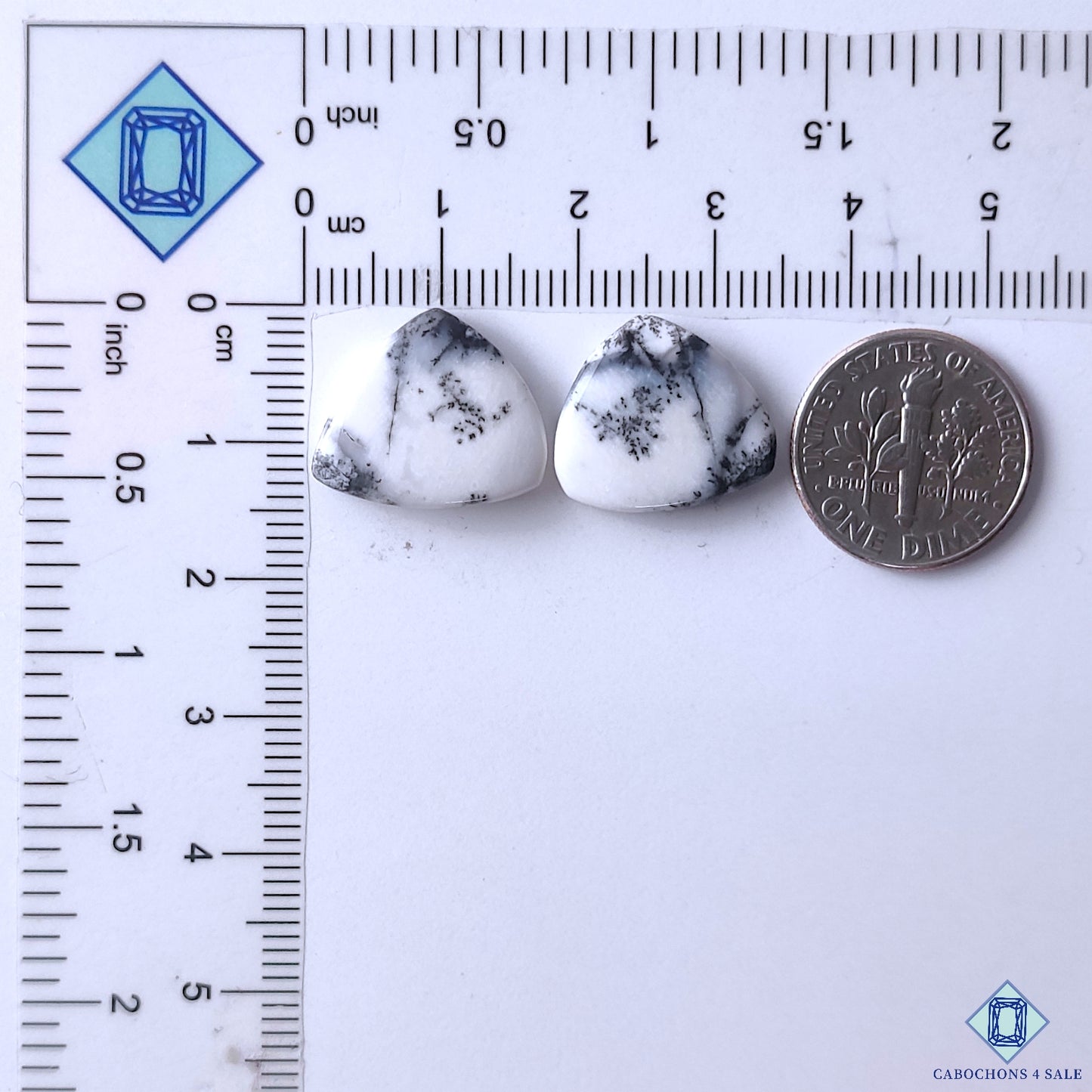 Dendritic Opal