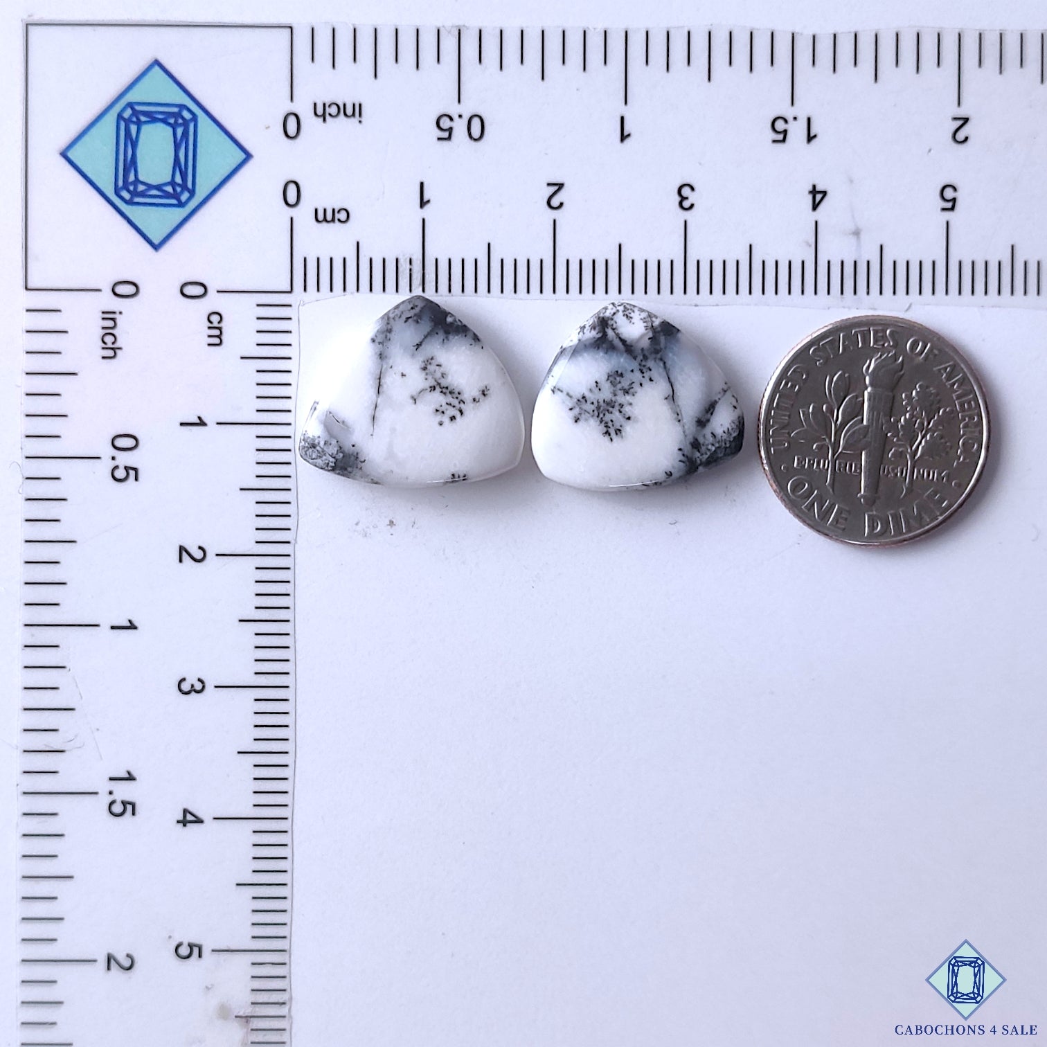 Dendritic Opal
