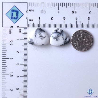 Dendritic Opal