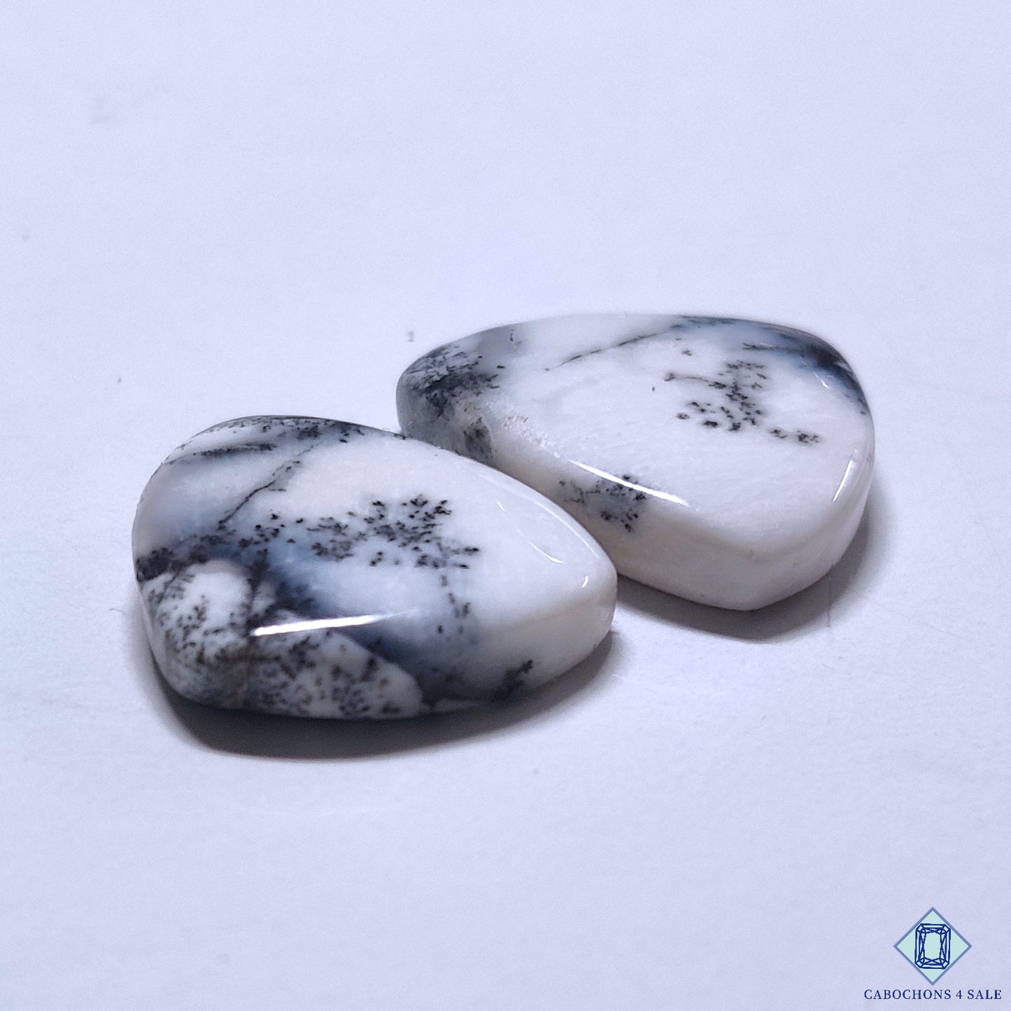 Dendritic Opal