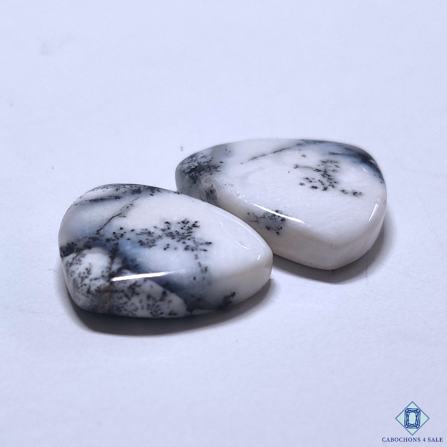 Dendritic Opal