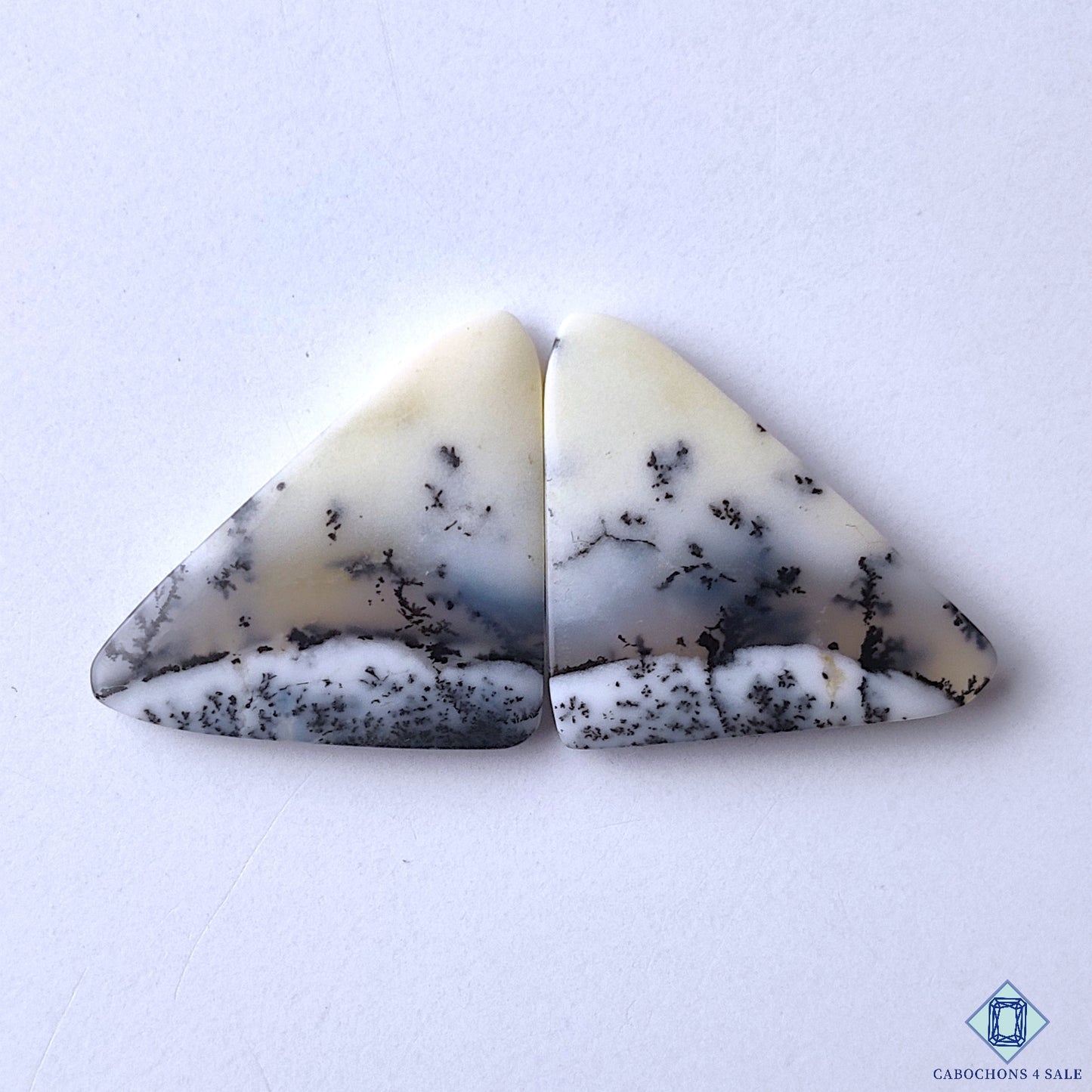 Dendritic Opal
