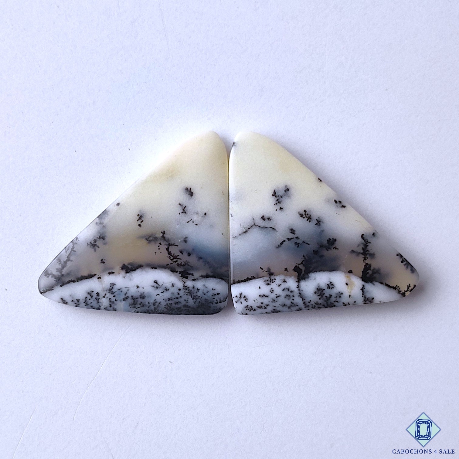 Dendritic Opal