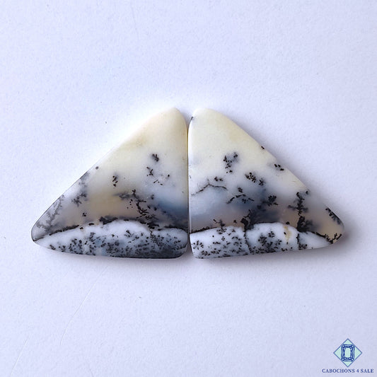 Dendritic Opal