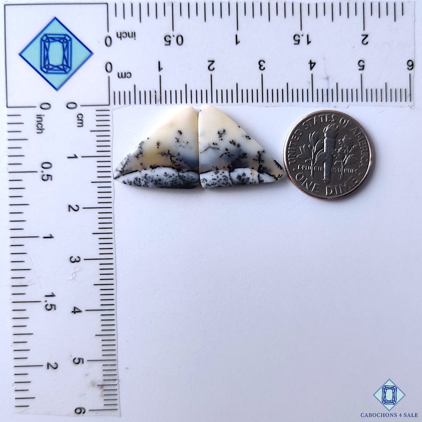 Dendritic Opal