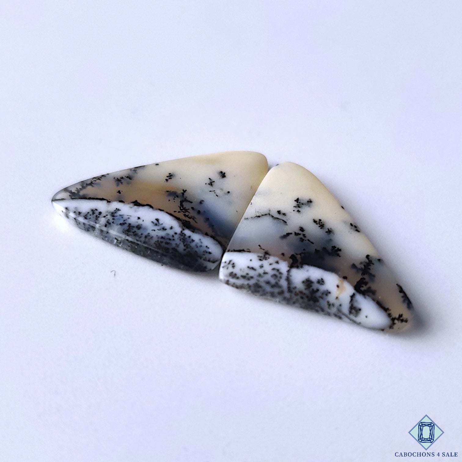 Dendritic Opal