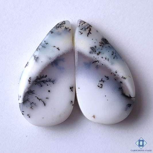 Dendritic Opal