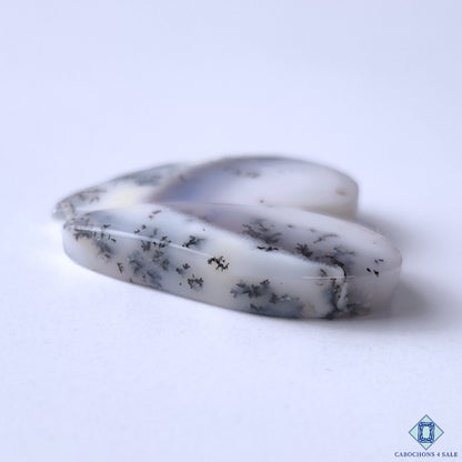 Dendritic Opal