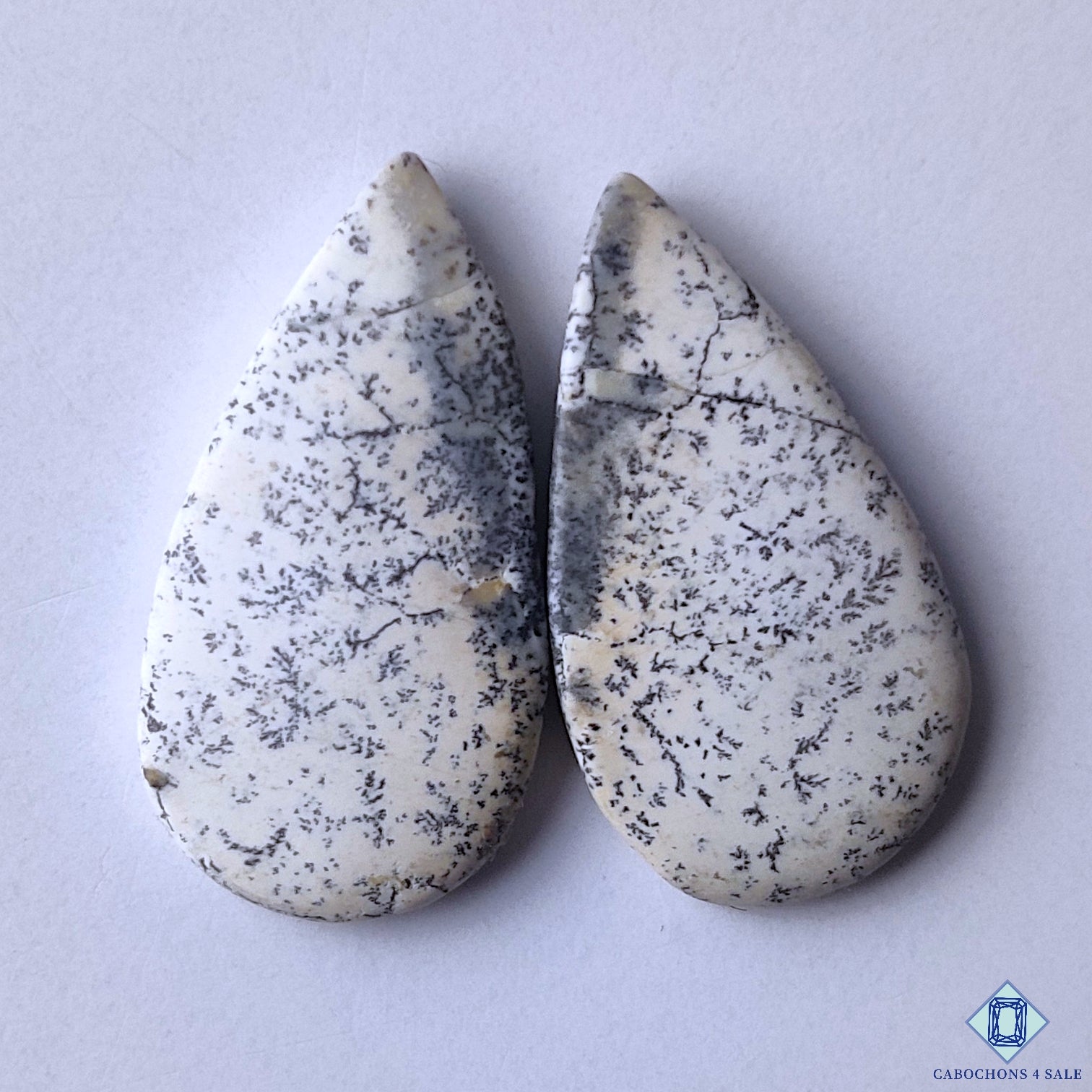 Dendritic Opal