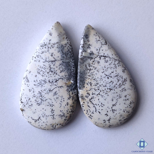 Dendritic Opal