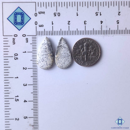 Dendritic Opal