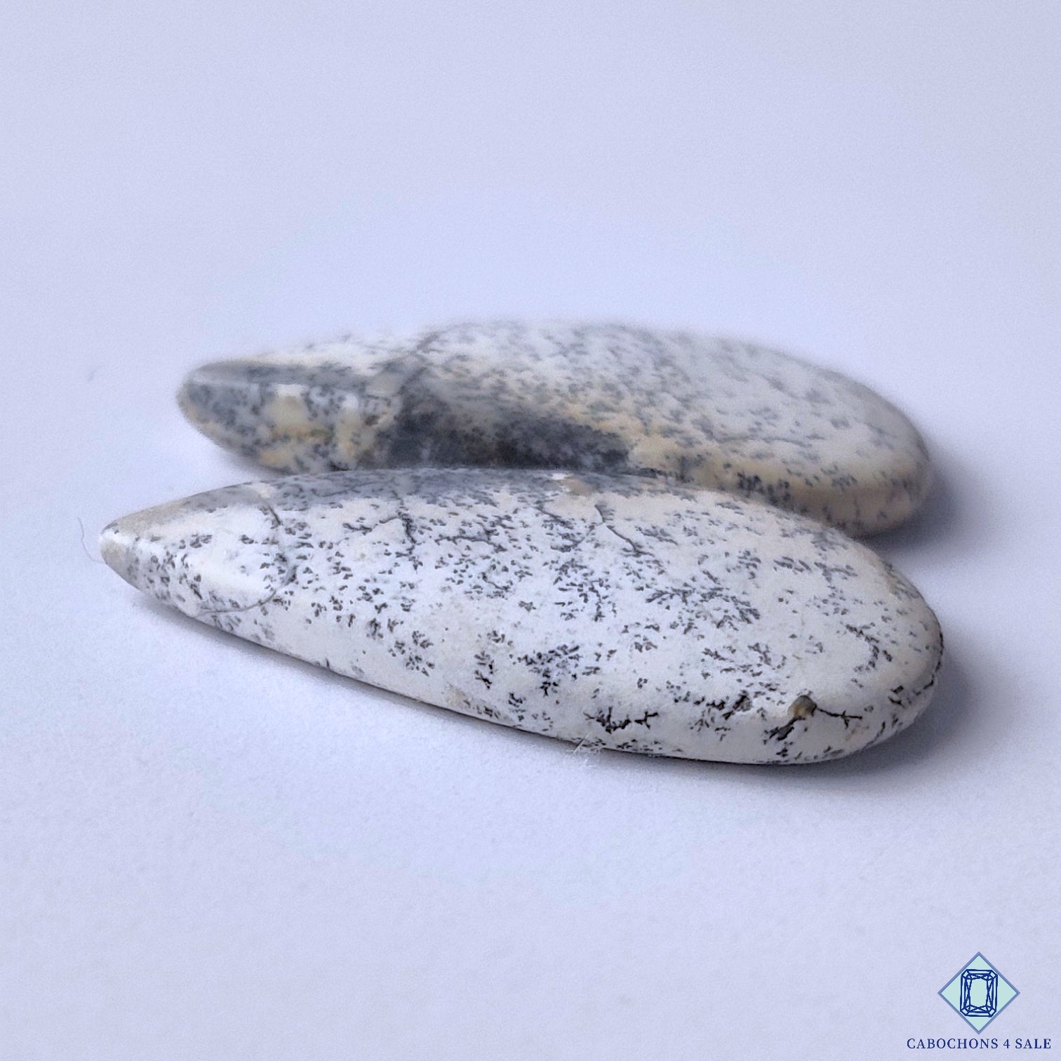 Dendritic Opal