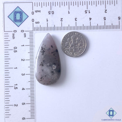 Dendritic Opal