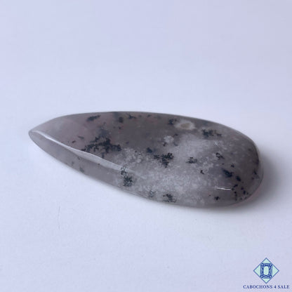 Dendritic Opal