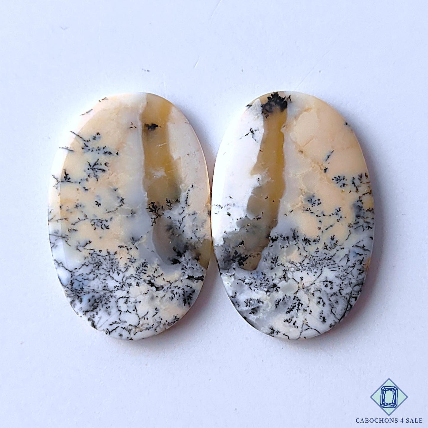 Dendritic Opal