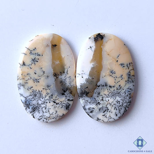 Dendritic Opal