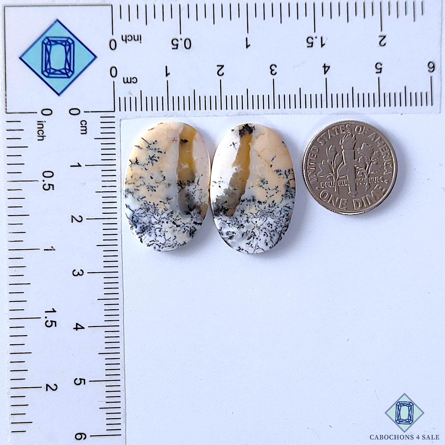 Dendritic Opal