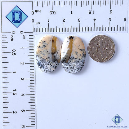 Dendritic Opal