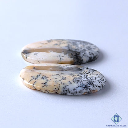 Dendritic Opal