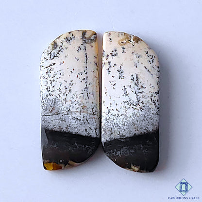 Dendritic Opal
