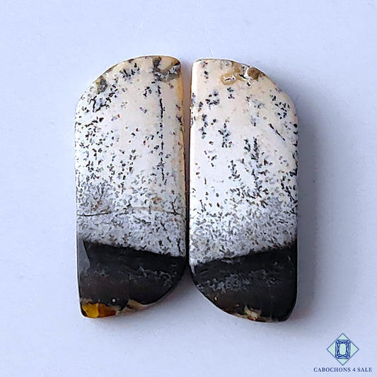 Dendritic Opal