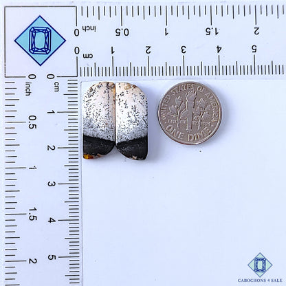 Dendritic Opal
