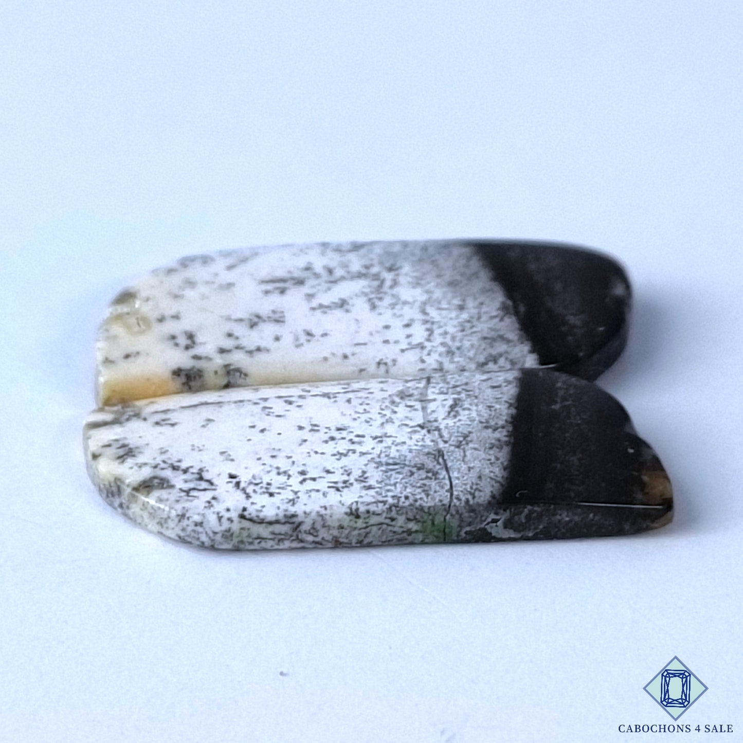 Dendritic Opal