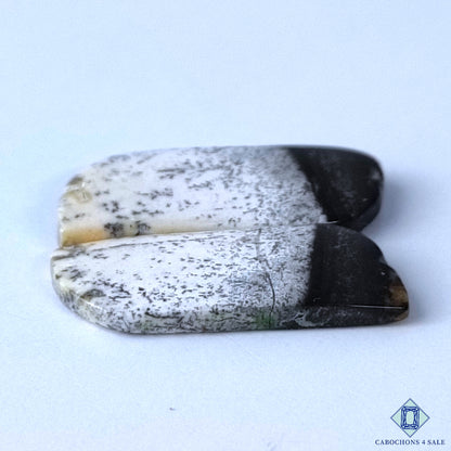 Dendritic Opal