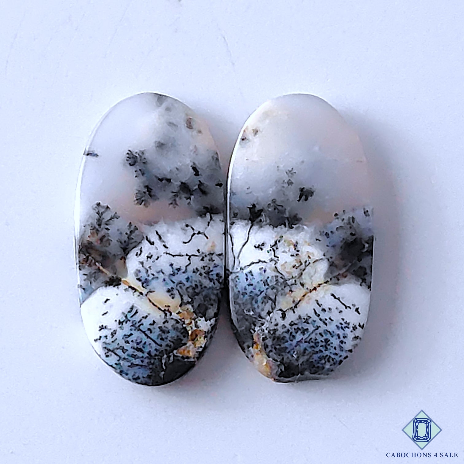 Dendritic Opal