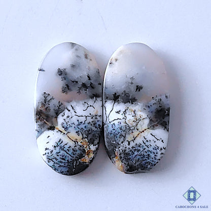 Dendritic Opal