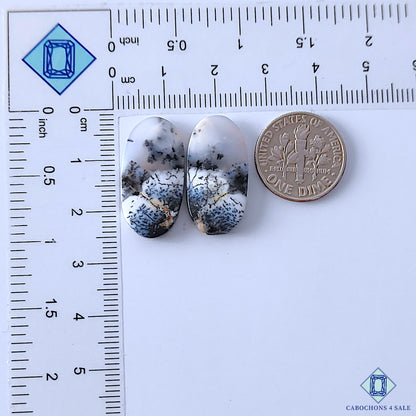 Dendritic Opal