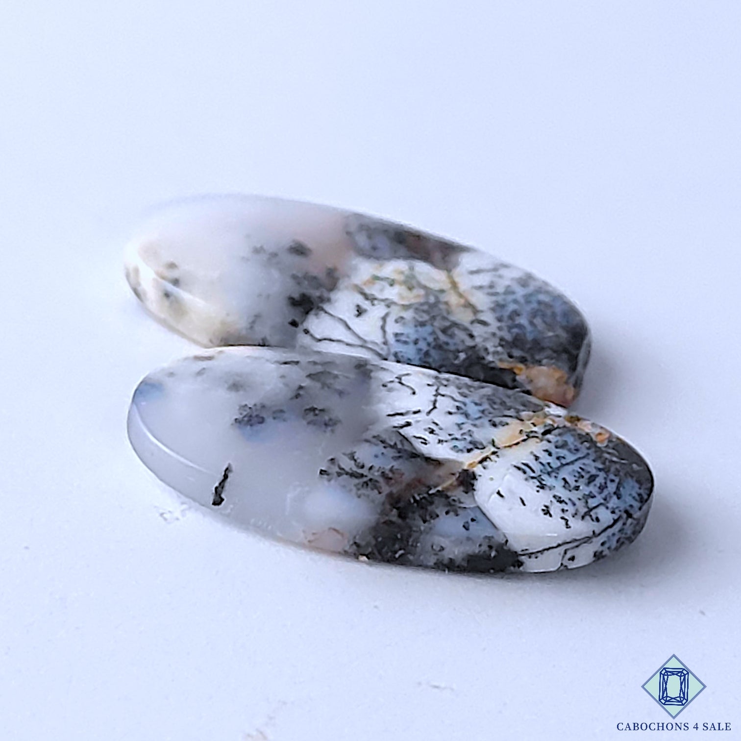 Dendritic Opal