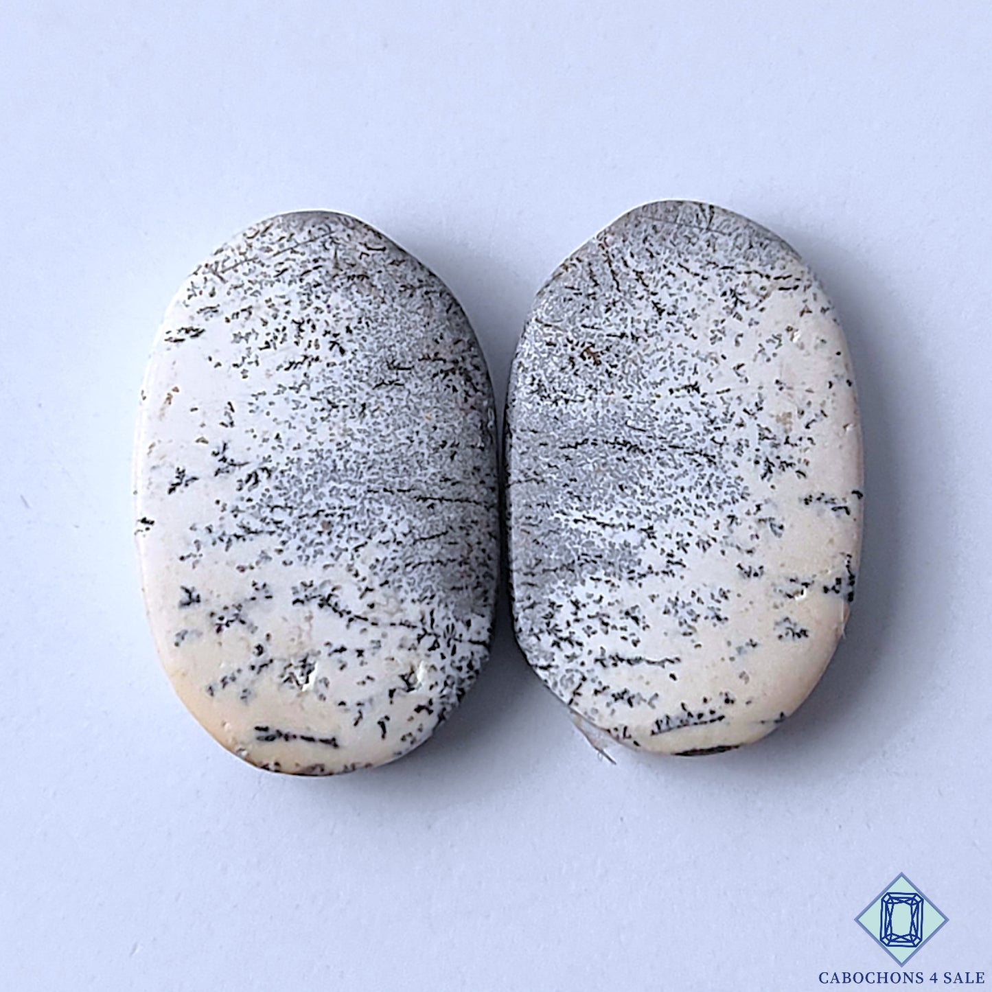 Dendritic Opal