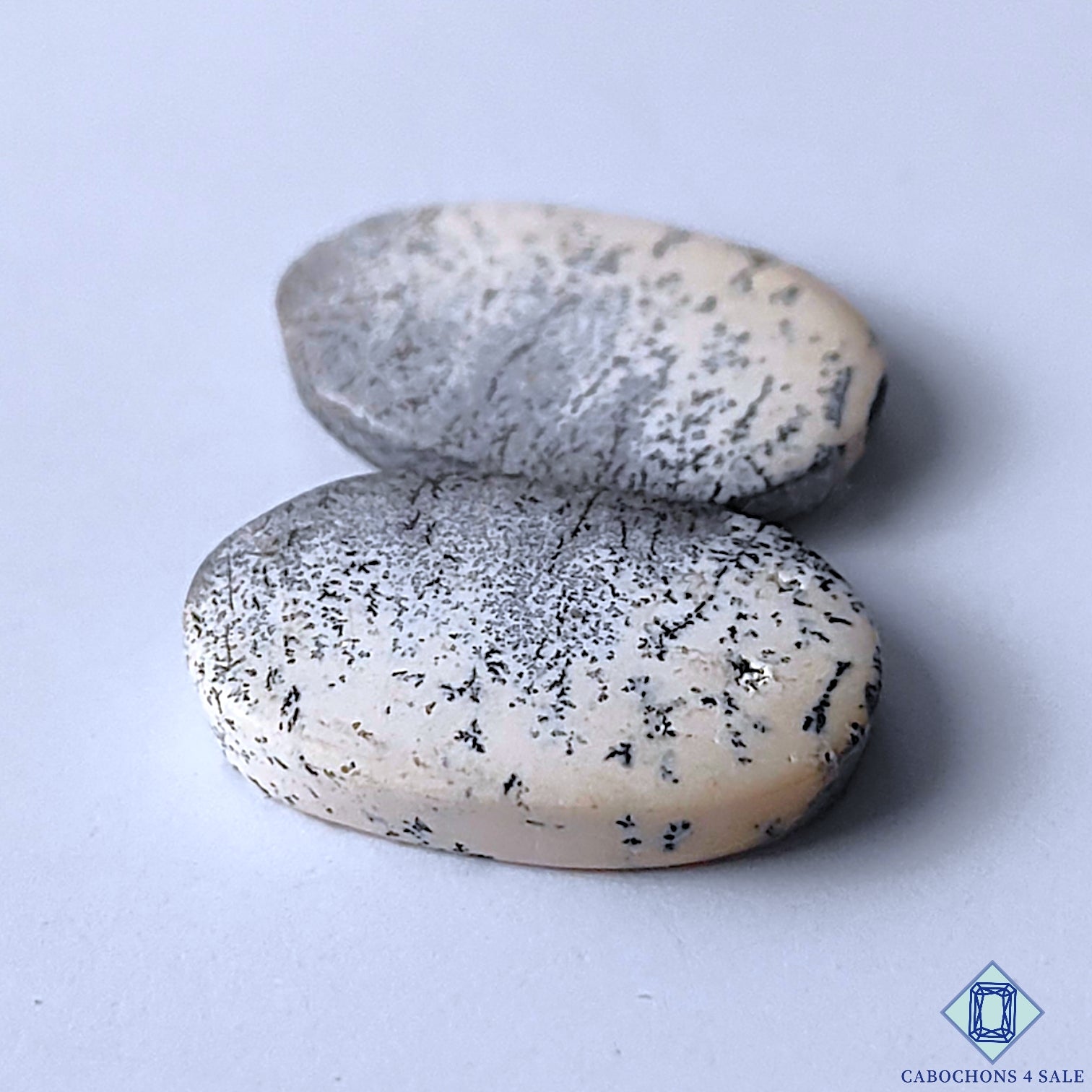 Dendritic Opal
