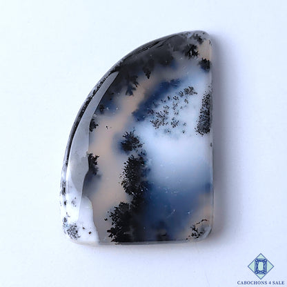 Dendritic Opal