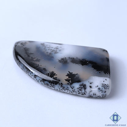 Dendritic Opal