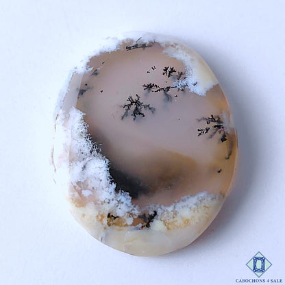 Dendritic Opal