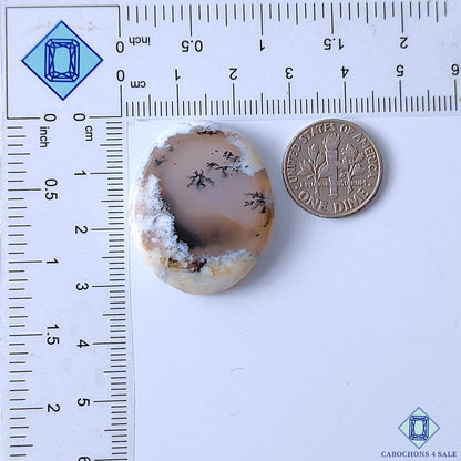 Dendritic Opal