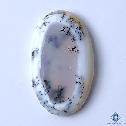 Dendritic Opal