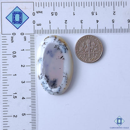 Dendritic Opal